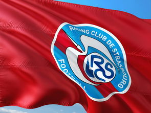 半岛体育登录入口-帕尔梅拉斯防线稳固，力拼阿尔希拉尔全力拿分