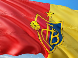 半岛体育app-法国惨败！瑞士4-1逆转晋级欧洲杯八强，欧洲杯法国瑞士队